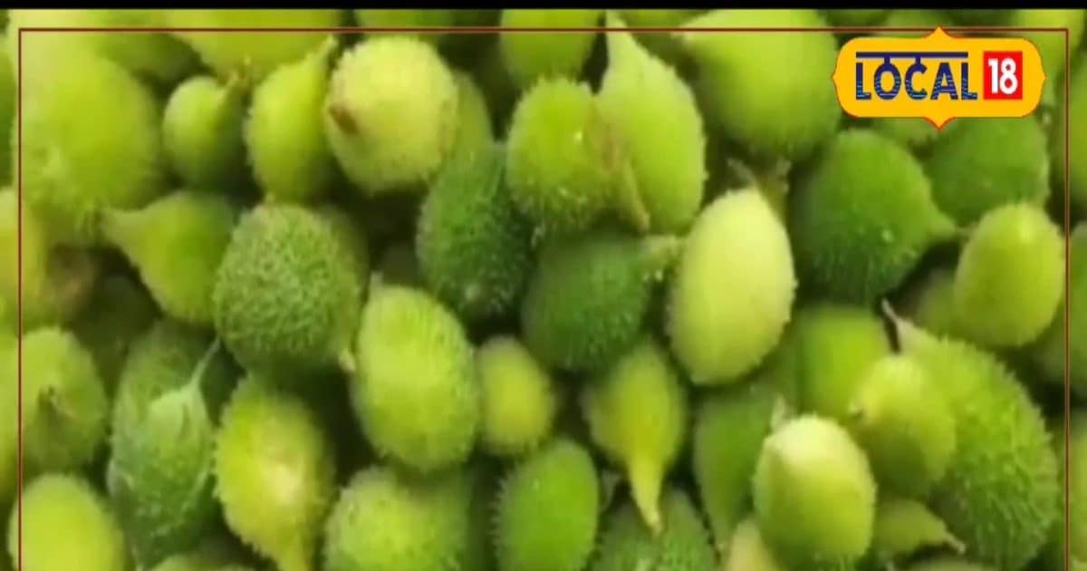 You are currently viewing सिर्फ 90 दिन मिलती है ये सब्जी, कई बीमारियों के लिए रामबाण, जानिए इसके फायदे