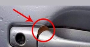 Read more about the article Car Door Handle Coin Trick: एक छोटा सा सिक्का… थोड़ी देर का इंतजार और हो जाएगा बड़ा खेल, कार चलाते हैं तो जरूर पढ़ें ये खबर