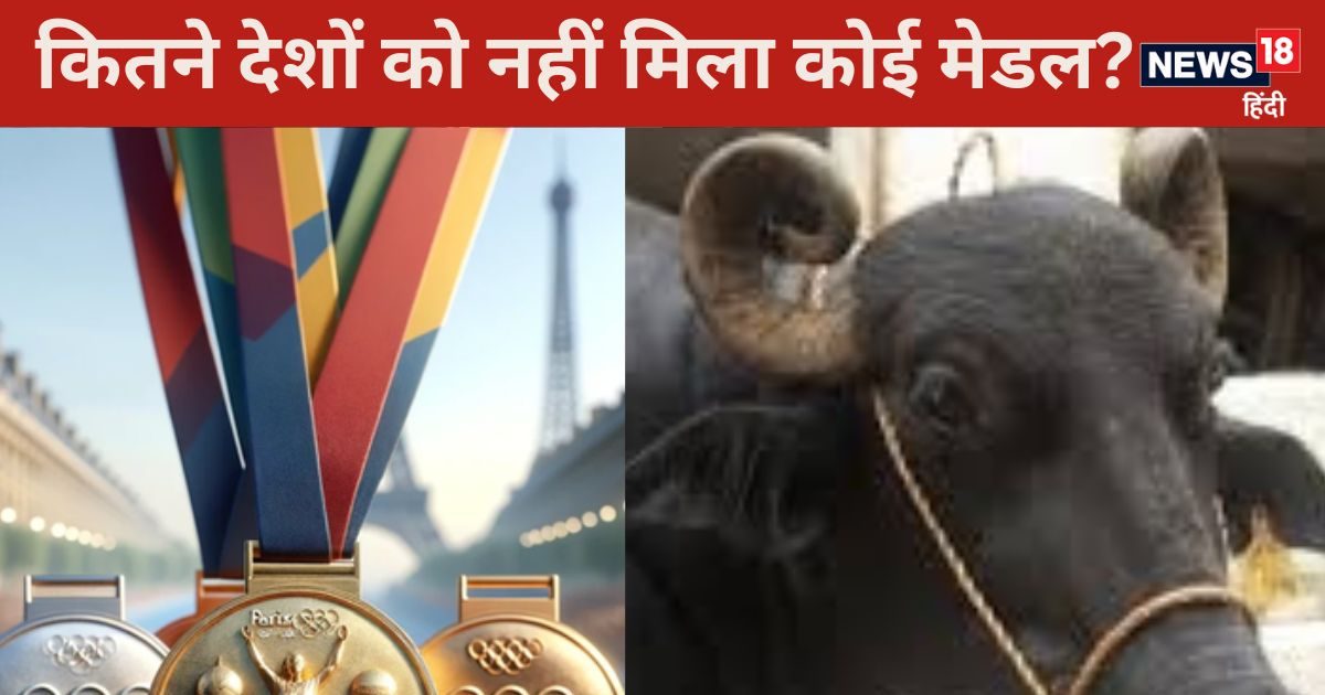 You are currently viewing Olympic GK Quiz:पेरिस ओलंपिक के किस विजेता को गिफ्ट में मिलेगी भैंस? जानें कुछ सवालों के जवाब