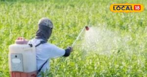 Read more about the article खेतों में करते हैं काम तो आंख में केमिकल या तिनका जाने पर कभी ना करें ये गलती, आंखों को हमेशा के लिए हो सकता है नुकसान