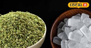 Read more about the article Saunf-Mishri Benefits: माउथ फ्रेशनर ही नहीं…सेहत का खजाना भी है सौंफ-मिश्री, इसके सेवन से रहेंगे एकदम फ्रेश