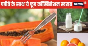 Read more about the article पपीते को कभी न खाएं इन 6 फूड्स के साथ, पाचन तंत्र का कर देंगे बंटाधार, ब्लोटिंग, गैस से रहेंगे दिन भर परेशान