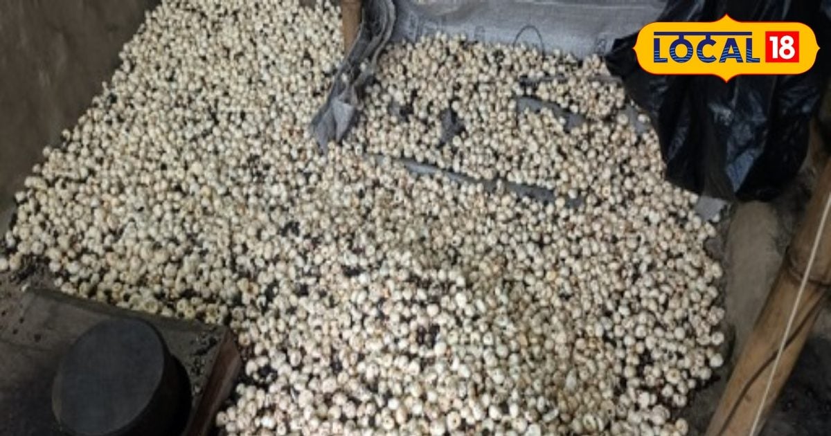 You are currently viewing बिहार में यहां होता है मखाना का उत्पादन, विदेश में भी रहती है डिमांड