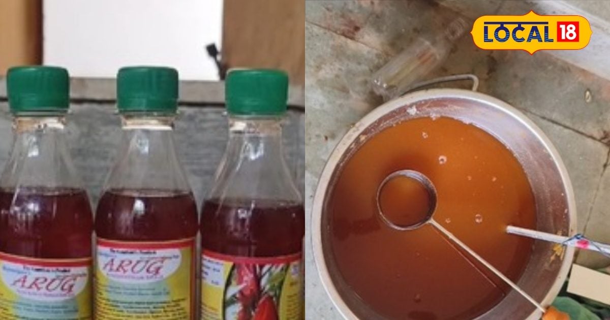 You are currently viewing महिला समूह की चमकी किस्मत, बेल-अंबाड़ी के जूस से बढ़ाई कमाई