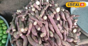 Read more about the article सर्दियों में लाभकारी है ये फल, आंखों और शुगर के लिए भी है फायदेमंद, जानिए इसकी खासियत