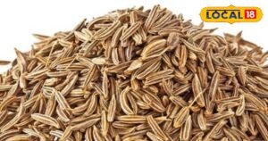 Read more about the article सब्जी में तड़के का राजा है ये मसाला, कुछ दिन करें इसके पानी का सेवन दूर होगी गैस, कब्ज की समस्या, नहीं बढ़ेगा वजन