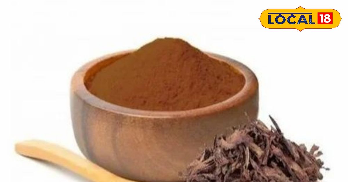 You are currently viewing अमृत से कम नहीं इस पेड़ की छाल, पेट और आंतों के सूजन में देती है राहत, शरीर में भर देती है ताकत