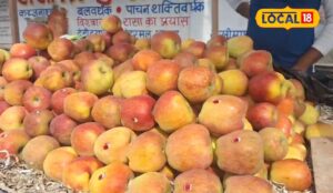 Read more about the article चमत्कारी है ये लाल रंग का फल, डायबिटीज के मरीज भी खा सकते हैं, शरीर को बना देगा शक्तिशाली!  