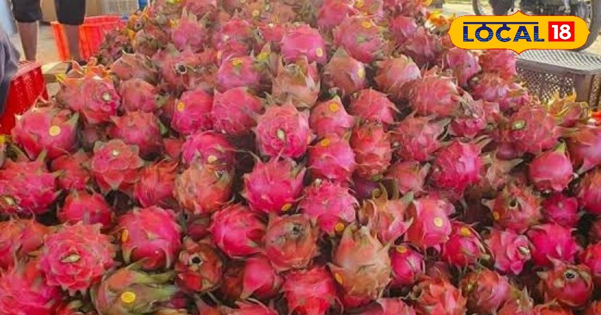 You are currently viewing कमाल का है ड्रैगन फ्रूट, खाने के हैं बेहतरीन फायदे