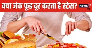Read more about the article ज्यादा टेंशन में जंक फूड्स खाने का क्यों करता है मन? आखिर क्या है इसकी वजह, हकीकत जान लीजिए