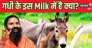 Read more about the article बाबा रामदेव ने जवानी के लि‍ए अपनाया गधी का दूध! क‍ितना पावरफुल है ये Milk, जानें क्‍या कहता है व‍िज्ञान