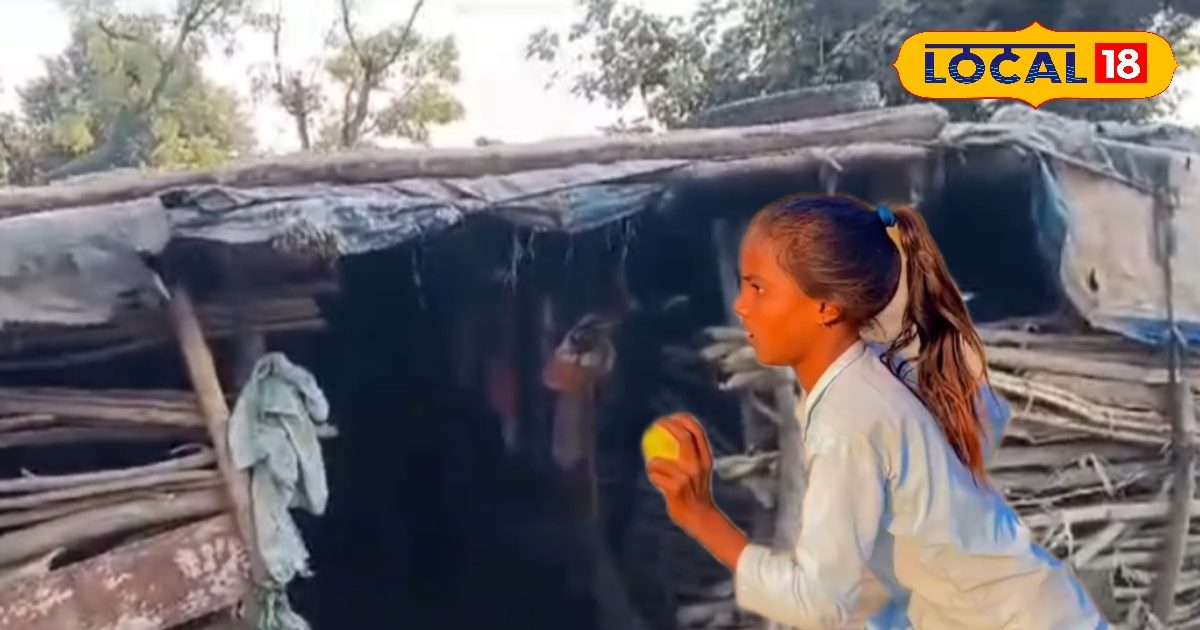 You are currently viewing इस छोटी-सी बच्ची की गेंदबाजी के सचिन तेंदुलकर हुए फैन, सोशल मीडिया पर शेयर की Video, लिखा- ‘जहीर खान..’