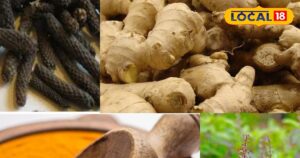 Read more about the article सर्दियों में इन घरेलू चीजों का करें सेवन, सर्दी-खांसी रहेगी कोसों दूर