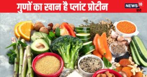 Read more about the article गुणों का खान है ये प्रोटीन, शरीर की ताकत बढ़ाए, मांसपेशियों को बनाए स्ट्रॉन्ग, जानें व्हे प्रोटीन से कैसे है फायदेमंद