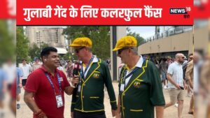 Read more about the article ऑस्ट्रेलियाई फैंस के दिखे नए पुराने अवतार – News18 हिंदी