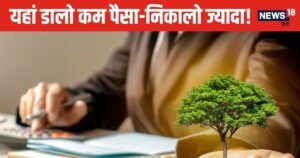 Read more about the article बाजार में आया 4 भुजाओं वाला म्‍यूचुअल फंड, एक निवेश में देगा कई तरफ से मुनाफा, नुकसान का चांस ही नहीं!