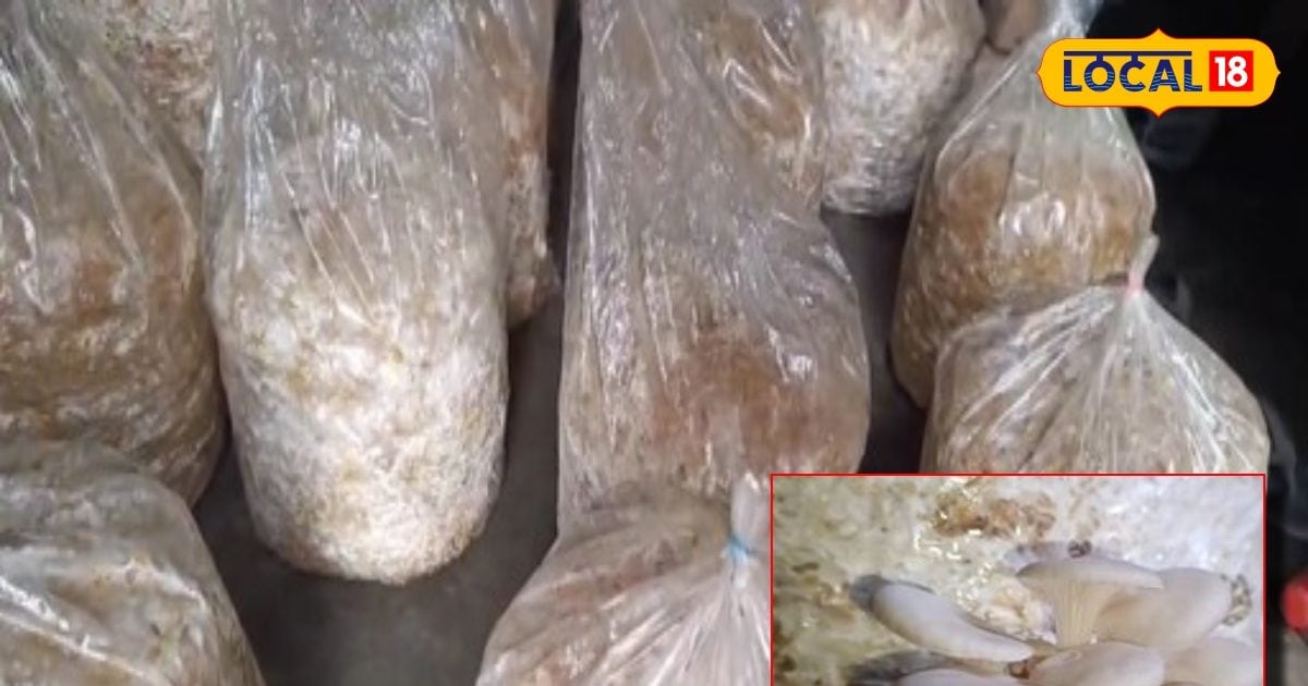 You are currently viewing माचिस खरीदने तक के नहीं थे पैसे, इस महिला ने मशरूम उगाकर बेटों को बनाया इंजीनियर, जानें कैसे