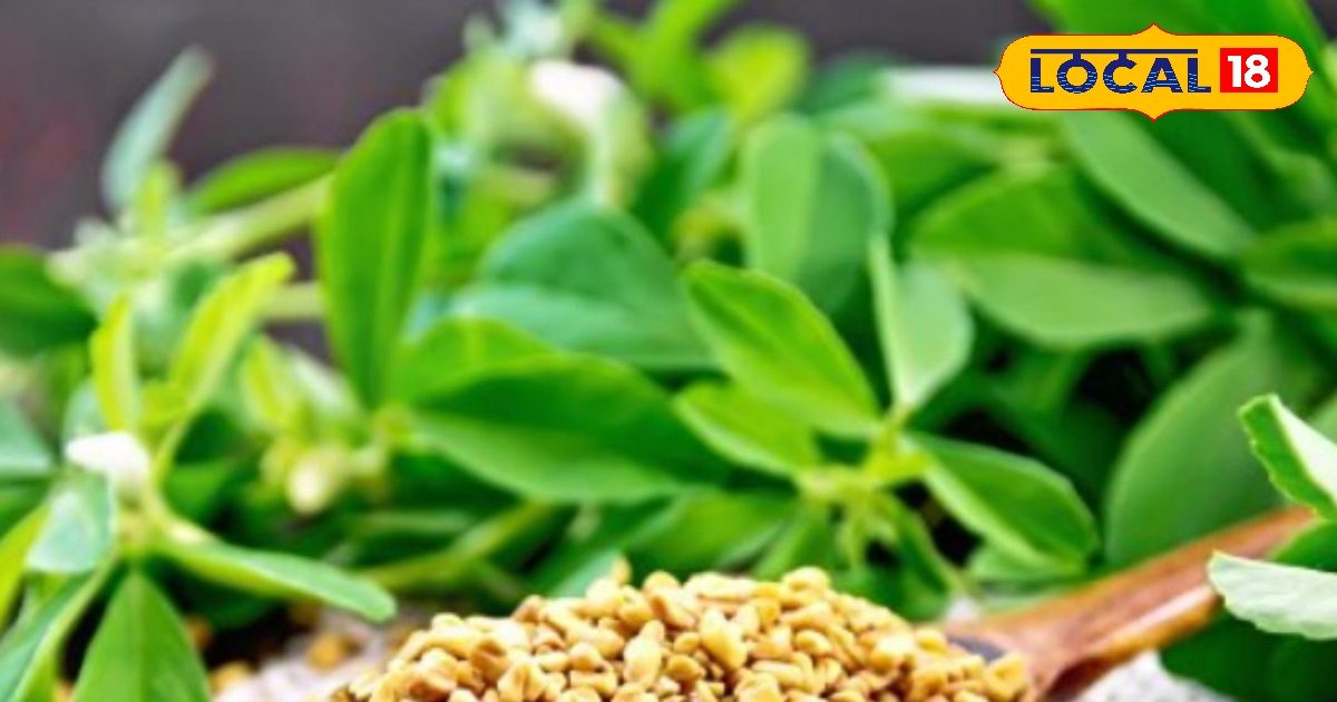 You are currently viewing चेहरे पर चाहते हैं निखार, इस छोटे से दाने का ऐसे करें सेवन, 21 दिनों में ही दिखने लगेंगे चमत्कार!