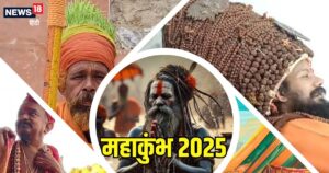 Read more about the article किसी ने सिर पर उगाई फसल तो किसी ने 45 किलो रुद्राक्ष पहनकर खींचा ध्यान, महाकुंभ में दिखा साधुओं का जलवा – News18 हिंदी