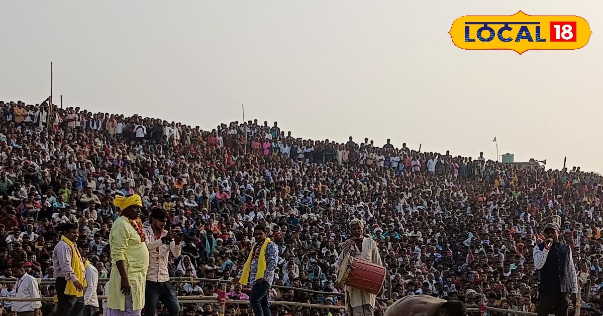 You are currently viewing समस्तीपुर में पहलवानों ने दिखाया अपना दम, तीन दिवसीय अंतरराज्यीय दंगल प्रतियोगिता का हुआ आयोजन – News18 हिंदी