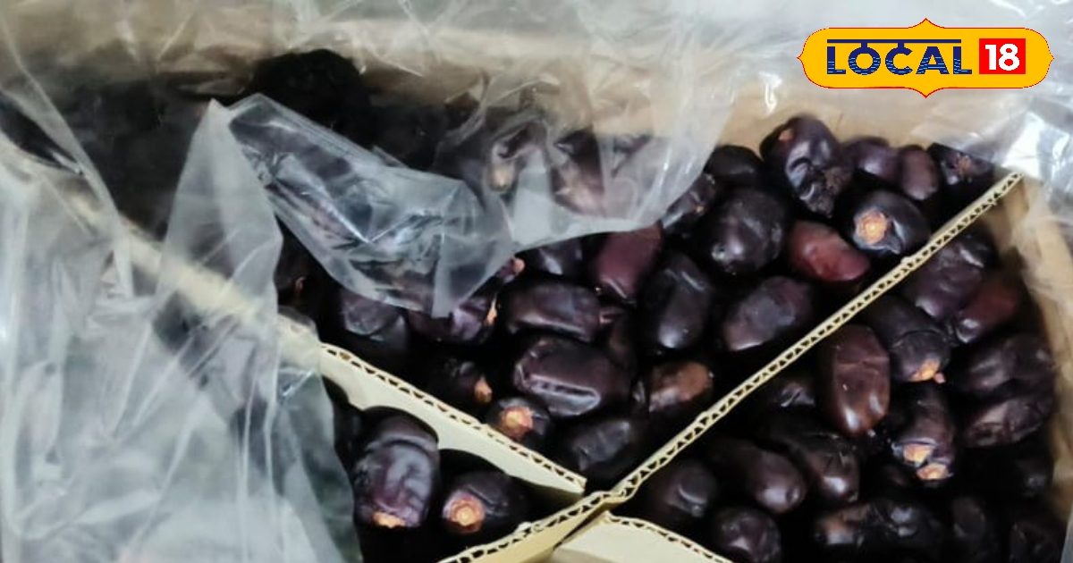 You are currently viewing कैल्शियम, मैग्नीशियम और फॉस्फोरस से भरपूर! रोज खाएं ये सुपरफूड, हड्डियां रहेंगी मजबूत, कभी नहीं होगी कमजोरी