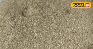 Read more about the article बालों की समस्या हो या Urine Infection, इस पाउडर से तुरंत मिल सकता है छुटकारा, ऐसे करें सेवन