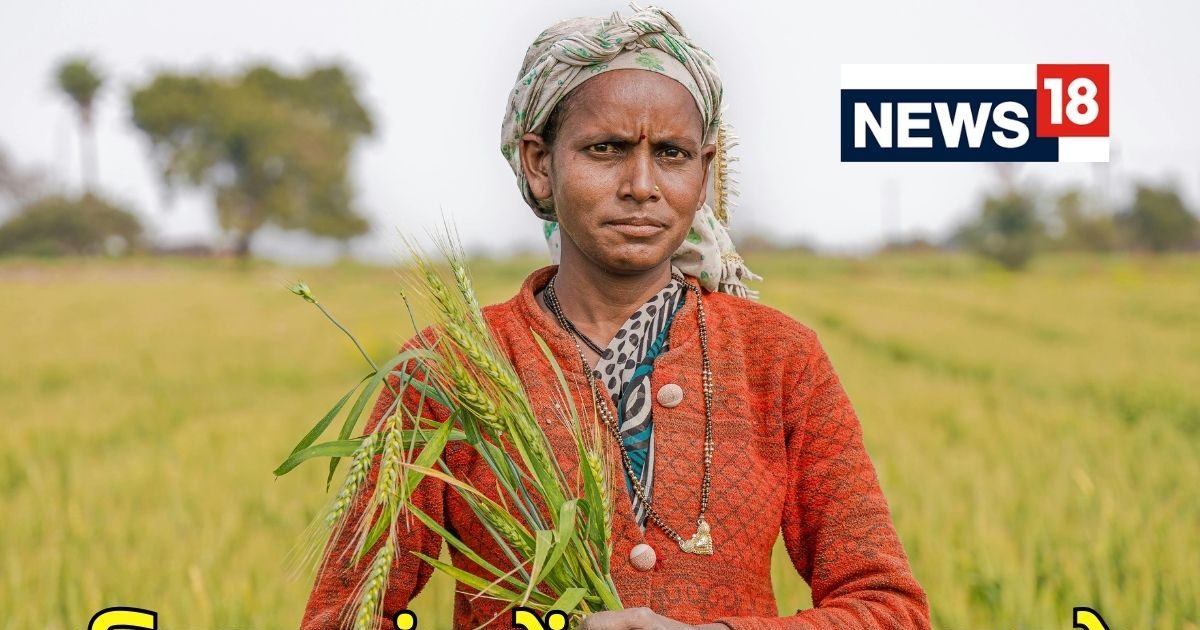 You are currently viewing कई साल बाद रूरल इकनॉमी में लौटी रौनक! शहर के लोग कैसे उठाएं फायदा, कहां पैसे लगाकर बटोरें मुनाफा?