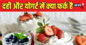 Read more about the article योगर्ट के फायदे: प्रोटीन, कैल्शियम और गट हेल्थ के लिए बेहतरीन विकल्प