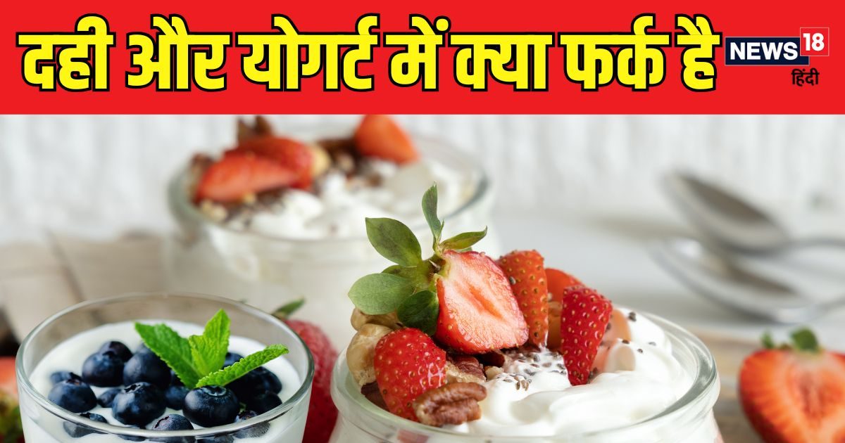 You are currently viewing योगर्ट के फायदे: प्रोटीन, कैल्शियम और गट हेल्थ के लिए बेहतरीन विकल्प
