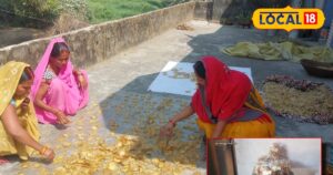 Read more about the article बड़े-बड़े बिजनेस भी फेल! यूपी की महिला घर बैठे कर रही छप्परफाड़ कमाई, जानें कैसे