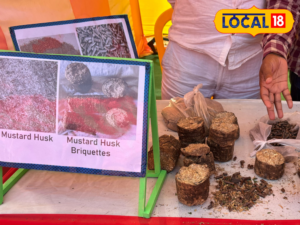 Read more about the article इस युवक ने पराली को बनाया कमाई का जरिया, कोयले का विकल्प कर रहे तैयार, 20 लाख सालाना कमा रहे मुनाफा