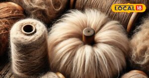 Read more about the article खींयाराम का परिवार बकरी के बाल से धागा बनाकर जीवित रख रहा है परंपरा – News18 हिंदी