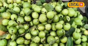 Read more about the article किसी सुपरफूड से कम नहीं है ये फल… पेट से लेकर बालों और स्किन तक में फायदेमंद, वजन भी करे कंट्रोल