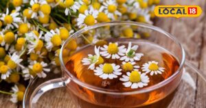 Read more about the article आदत नहीं बिगाड़ेगी ये चाय, स्वाद और गुणों से भरपूर, गर्मियों में रामबाण