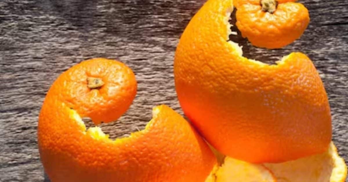 You are currently viewing पीले दांत होंगे सफेद! बस ऐसे करें इस फल का इस्तेमाल, गंदगी और बदबू होगी खत्म