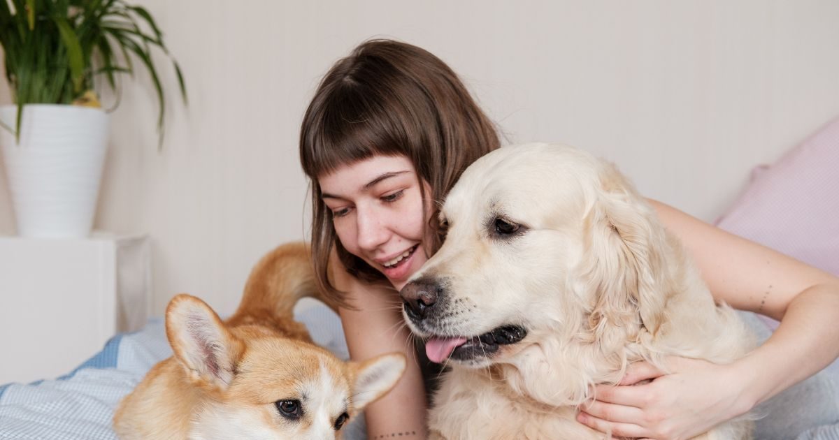 You are currently viewing पालतू जानवर रखें, तनाव होगा कम और संतुष्टि होगी अधिक: शोध