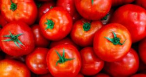Read more about the article Should You Eat Tomatoes with Peel or Without Peeling It – News18 हिंदी