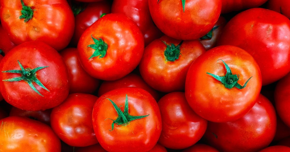 You are currently viewing Should You Eat Tomatoes with Peel or Without Peeling It – News18 हिंदी