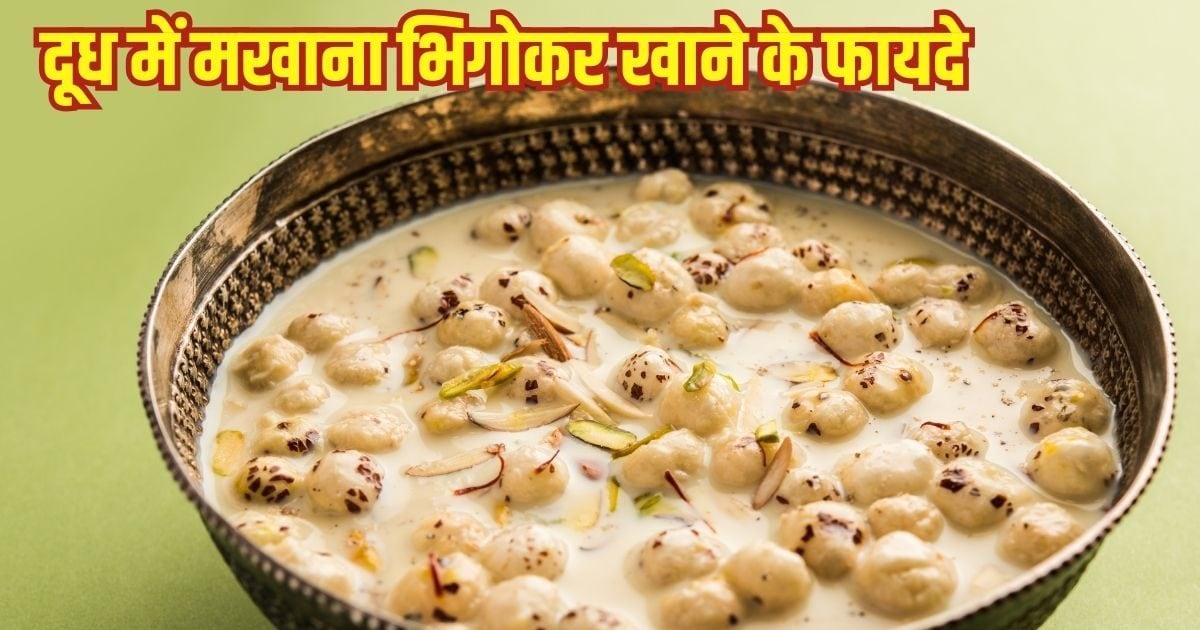 You are currently viewing Benefits of Eating Makhana Soaked in Milk: मखाना-दूध का कॉम्बिनेशन है जबरदस्त, जानें, रोजाना दूध में भिगोकर खाने के फायदे