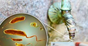 Read more about the article Cholera outbreak in Sudan: सूडान में हैजा के मामलों में बढ़ोतरी, खार्तूम में 2,729 नए मामले