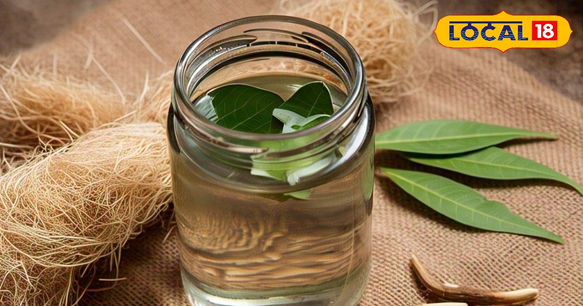 You are currently viewing जानें गर्मी में ठंडी तासीर वाली 5 बूटियां…करें पेट, लिवर और पाचन को दुरुस्त