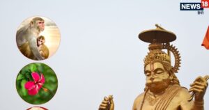 Read more about the article Shubh Sanket on Bada Mangal 2025 Lucky Signs And Omens On Bada Mangal | बड़े मंगल पर बंदर समेत दिख जाएं ये चीजें, समझ लें हनुमानजी की है आप पर विशेष कृपा