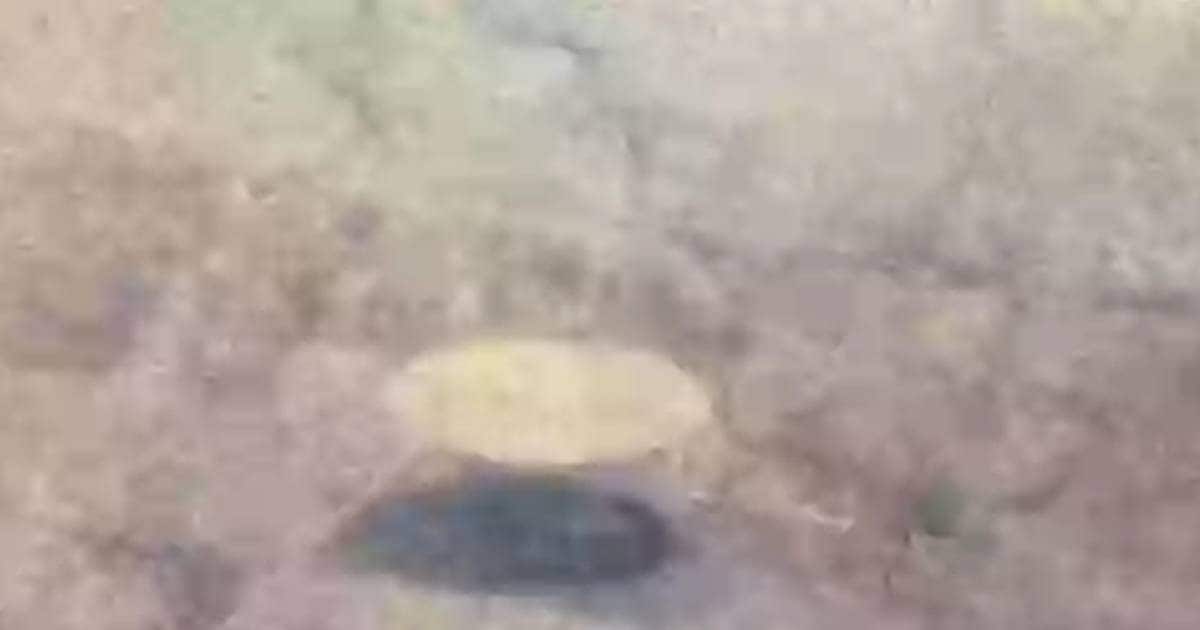 You are currently viewing 21000 फीट की ऊंचाई पर‍ विमान उड़ा रहा था पायलट, तभी सामने आई एक उड़न तश्तरी, फिर जो हुआ- सब रह गए हैरान