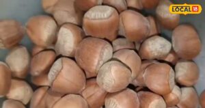 Read more about the article सुबह खाली पेट खा लो ये बीज, न हार्ट की टेंशन रहेगी, न माइंड पर स्ट्रेस! फायदे जानकर यकीन नहीं होगा