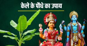 Read more about the article kele ke paudhe ka upay in hindi | एकादशी और गुरुवार को केले के पौधे का ज्योतिष उपाय