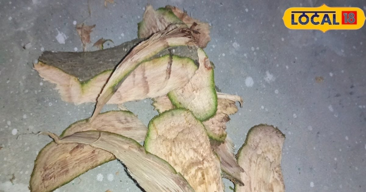 You are currently viewing दवा नहीं, अब पेड़ की छाल से मिलेगा इलाज……शुगर, बीपी और गठिया में चमत्कारी असर, जानें फायदे