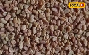 Read more about the article रोजाना पी लें इस बीज का पानी, डायबिटीज-कोलेस्ट्रॉल हो जाएगा छूमंतर, पाचन तंत्र बन जाएगा मजबूत – Uttar Pradesh News