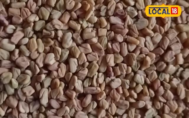 You are currently viewing रोजाना पी लें इस बीज का पानी, डायबिटीज-कोलेस्ट्रॉल हो जाएगा छूमंतर, पाचन तंत्र बन जाएगा मजबूत – Uttar Pradesh News