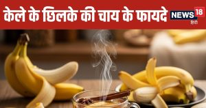 Read more about the article Banana Peel Tea Benefits and Simple Recipe in Hindi | केले के छिलके की चाय के 5 फायदे और आसान रेसिपी