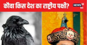 Read more about the article GK News : भारत के किस पड़ोसी देश का राष्ट्रीय पक्षी है कौआ? नहीं हैं पाकिस्तान और बांग्लादेश